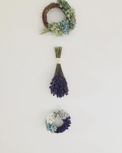 北海道紫陽花リース