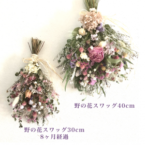 8ヶ月経過したドライフラワースワッグ(野の花スワッグ)の色の変化と比較